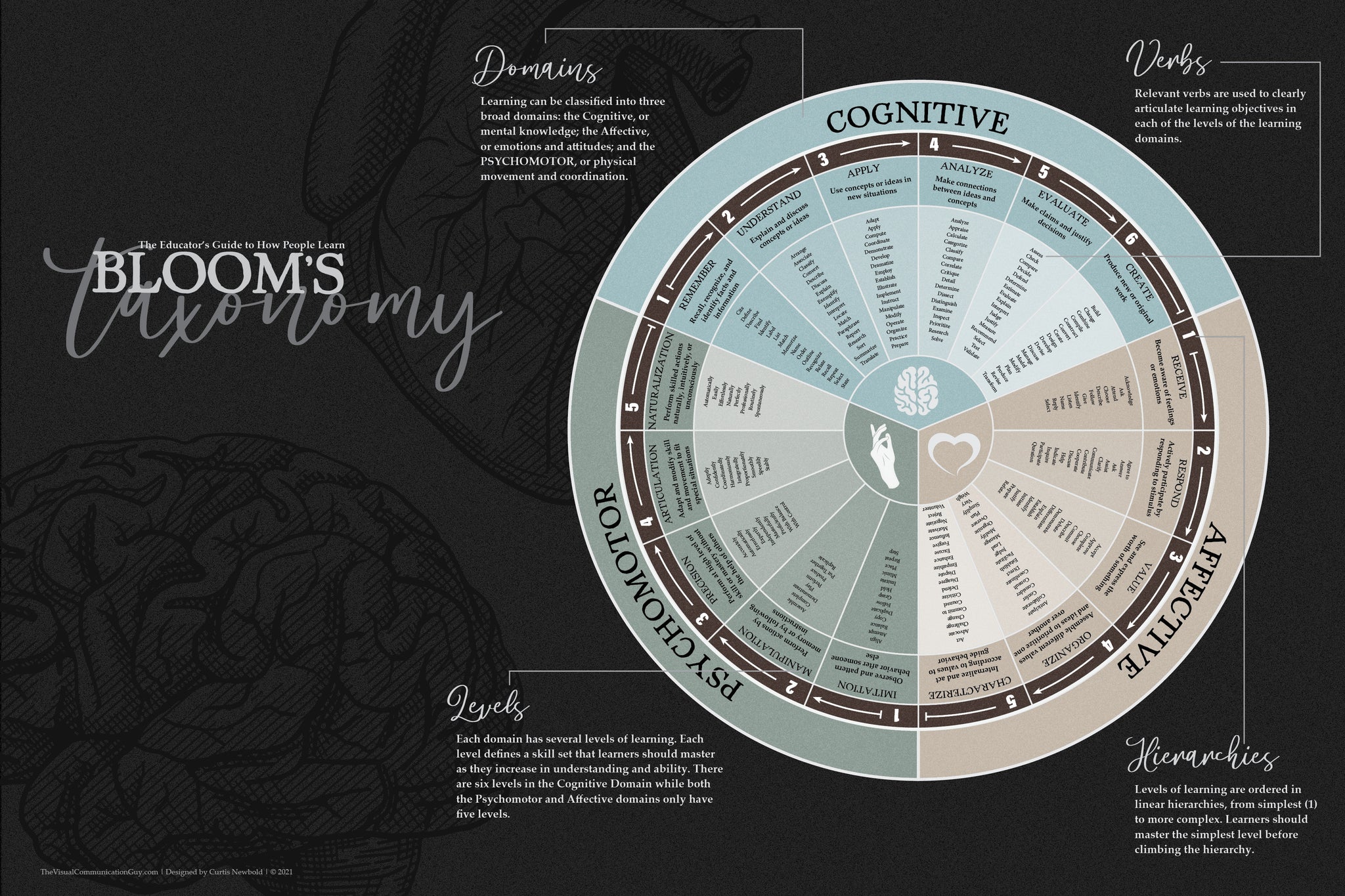 Bloom's Taxonomy 20x30 Poster Print